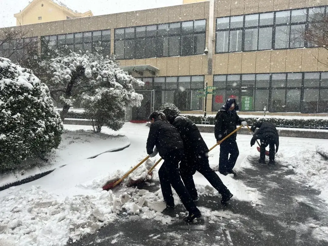 Reatha Te i dTonn Fuar